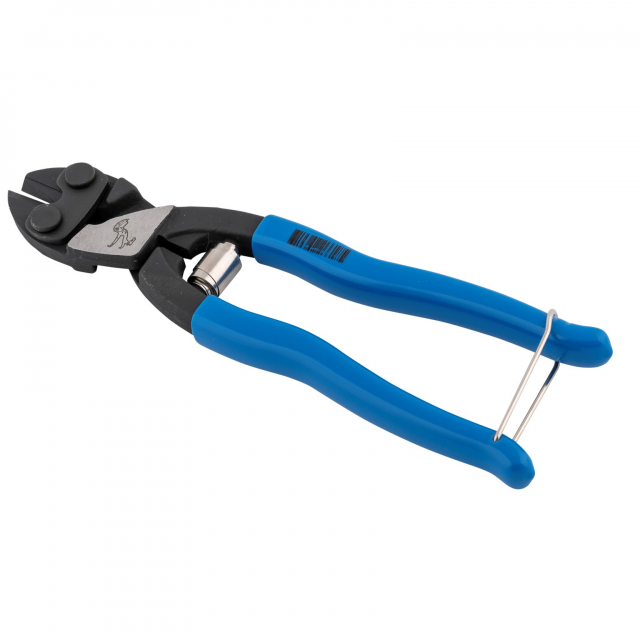 Taggsax - köttjuvsax